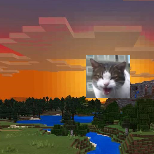 Kitty City Currency
