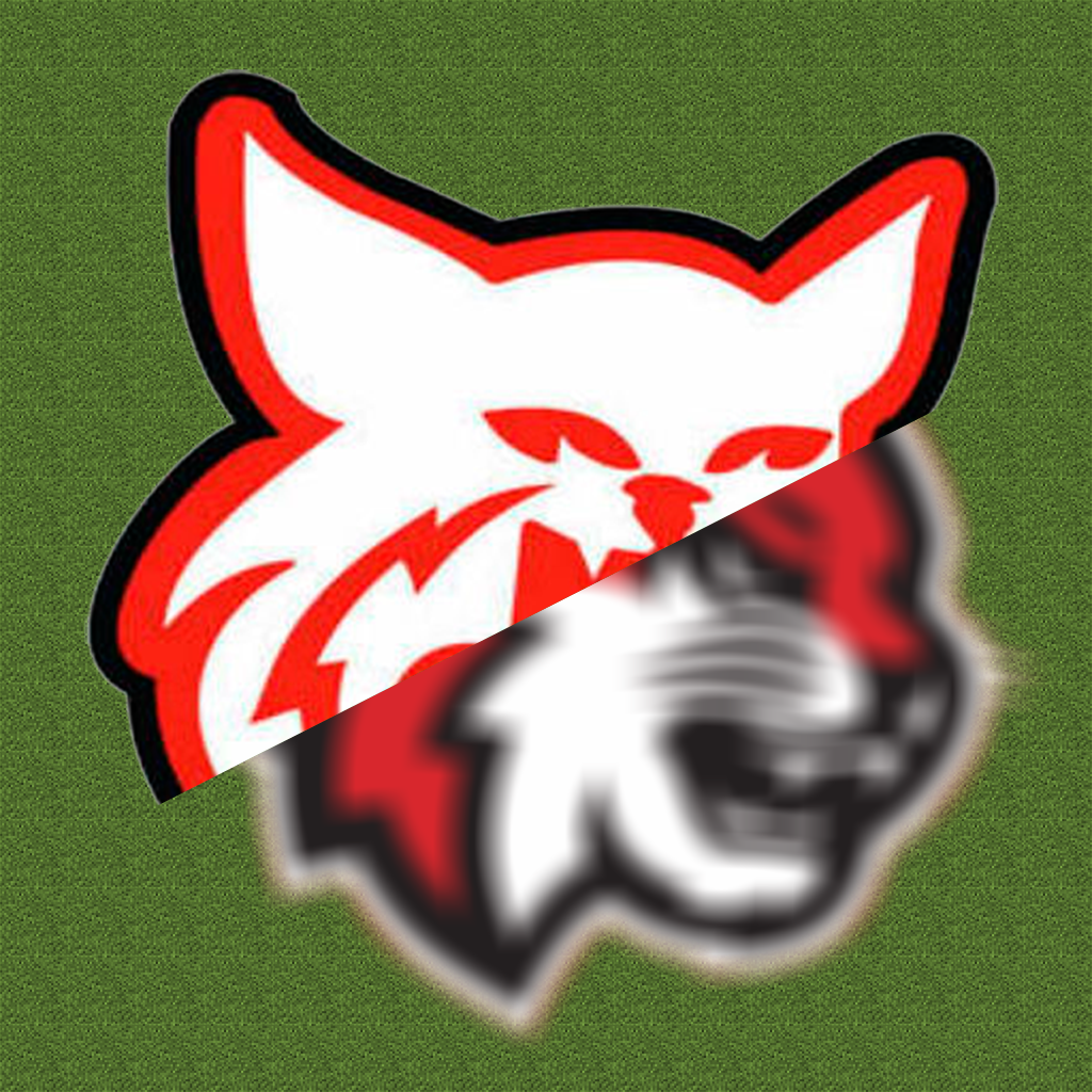 Bloques para el estadio de UVM logo