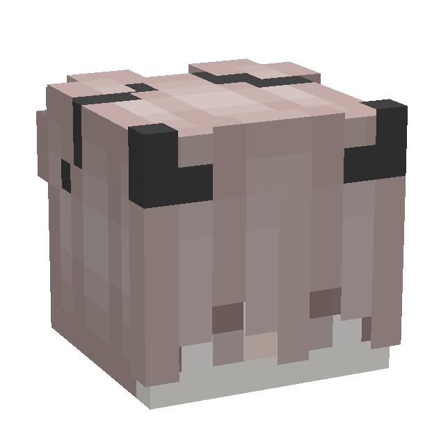 Head Menu Minecraft Customization