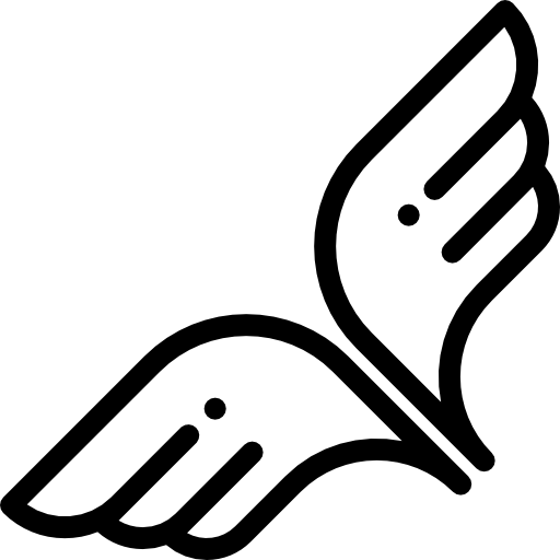 FlapElytra