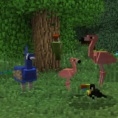 Overview - Exotic Birds - Mods - Projects - Minecraft 