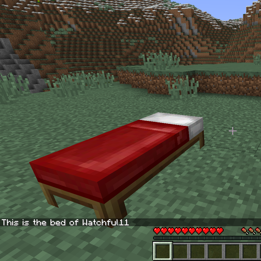 Whose bed? - Mods - Minecraft