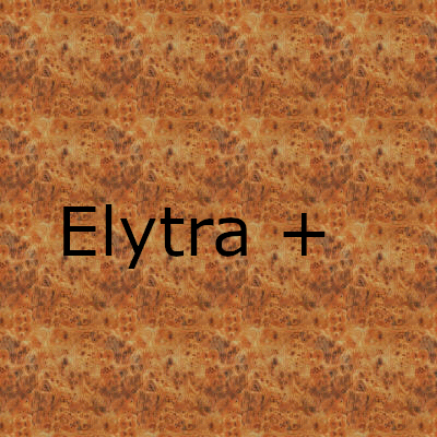 Craft the Elytra+