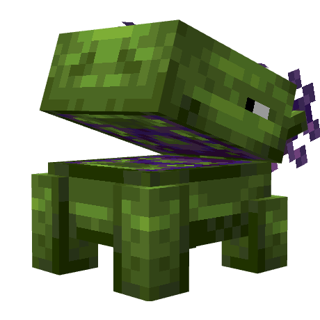 Aurora SMP Pack