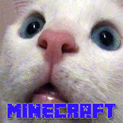 SimpleCraft MCD