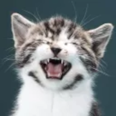 CatLib logo