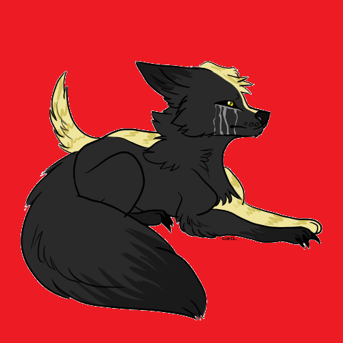 WolfOfTheTimbers