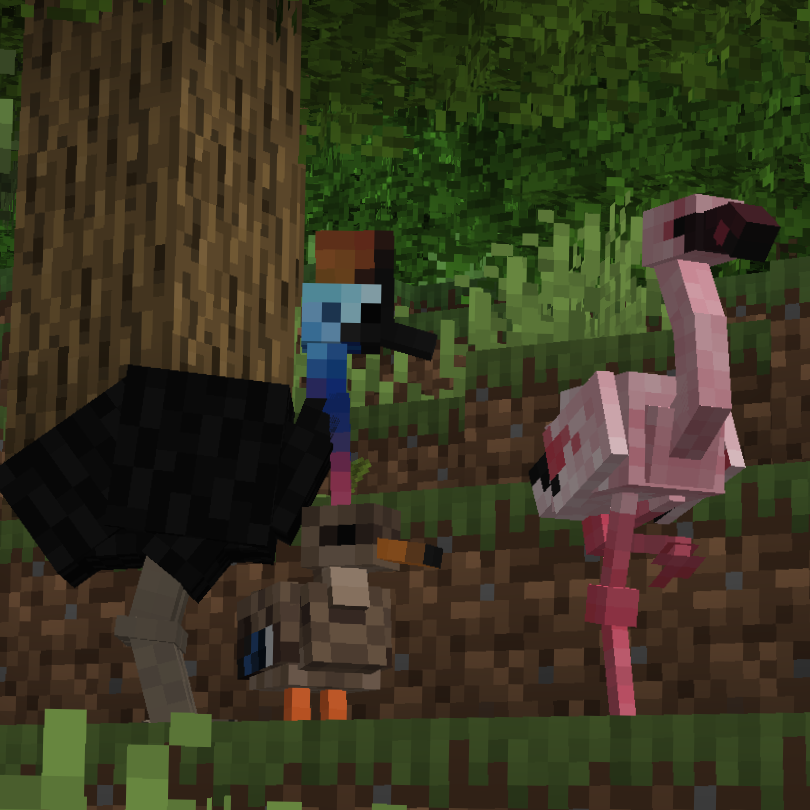 Minecraft birds. Exotic Mod.