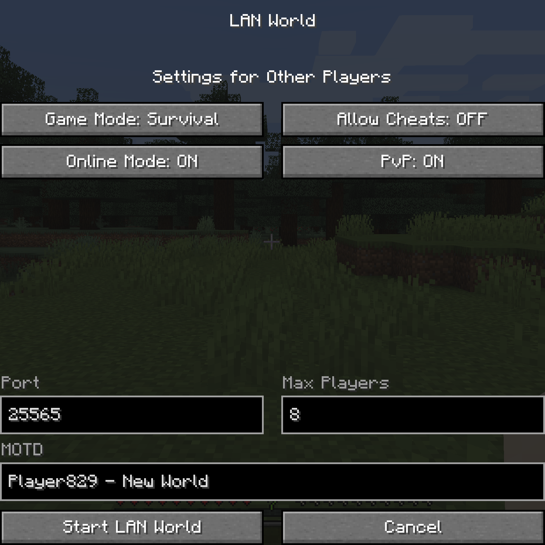Custom LAN Mods Minecraft