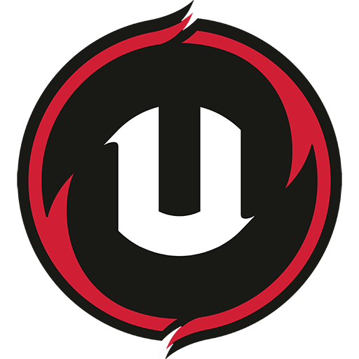 UNLEASHED IT logo