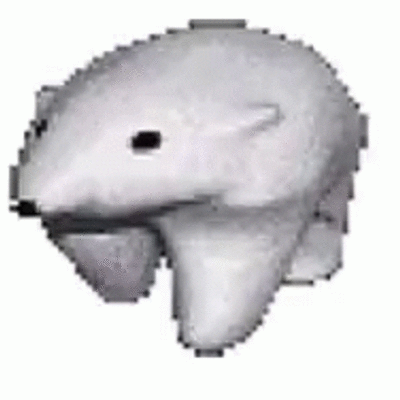 Xavier SMP