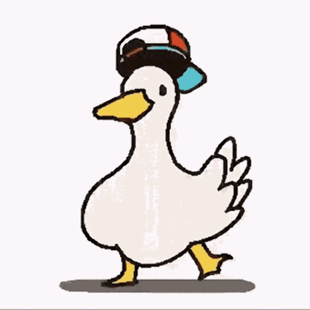 Ducksland 2