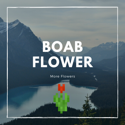 Boab Flowers logo