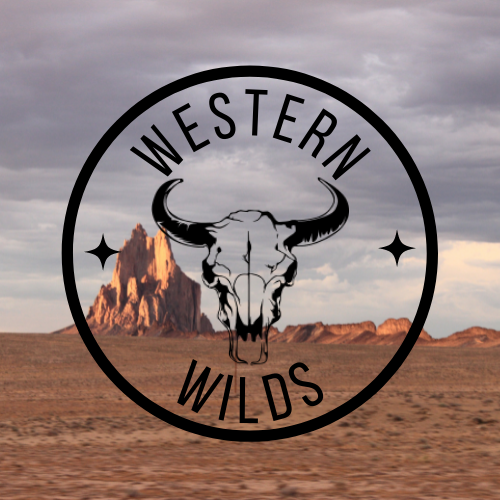 Western Wilds - Minecraft Modpacks - CurseForge