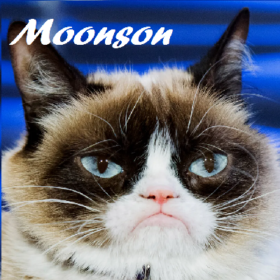 Install Moonson - Minecraft Mods & Modpacks - CurseForge