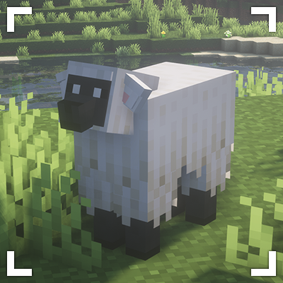Sheep Ender Dragon Minecraft Texture Pack