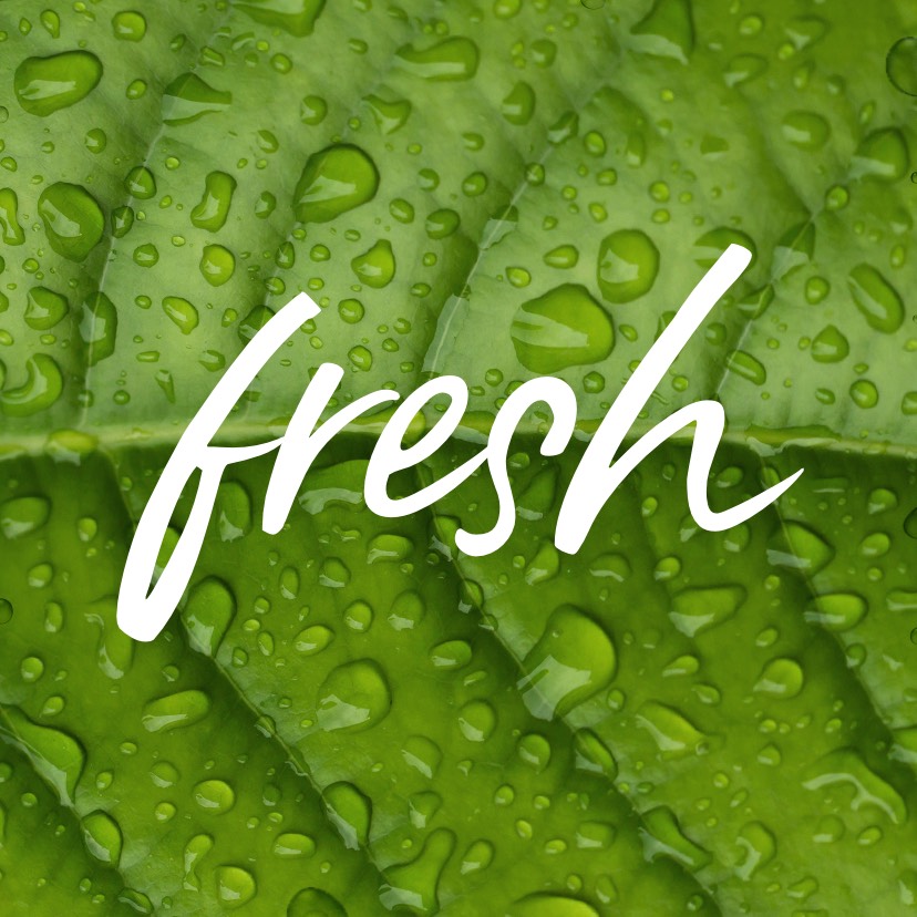 I m fresh. Freshness.