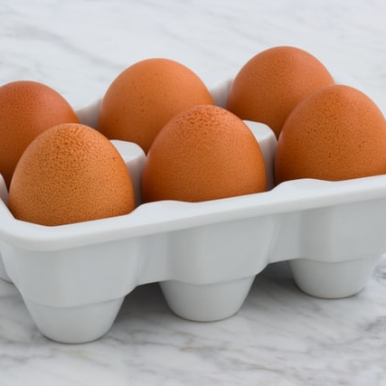 eggolib logo