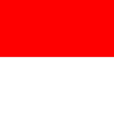 Indonesian Food And Items 