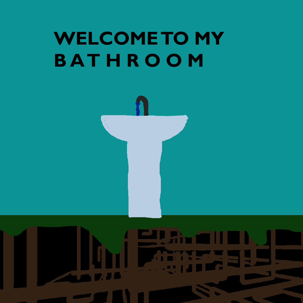 the bathroom sink