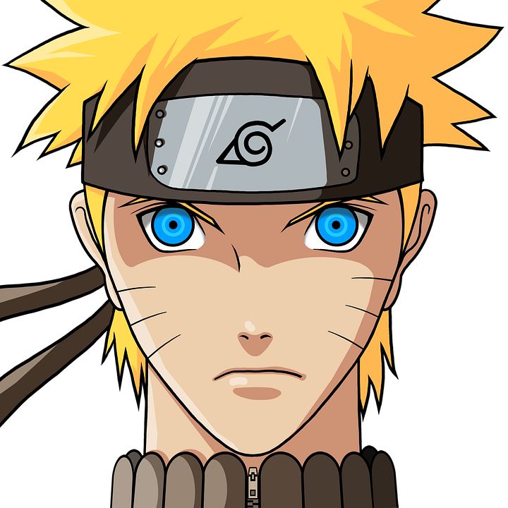 The ultimate ninja arts