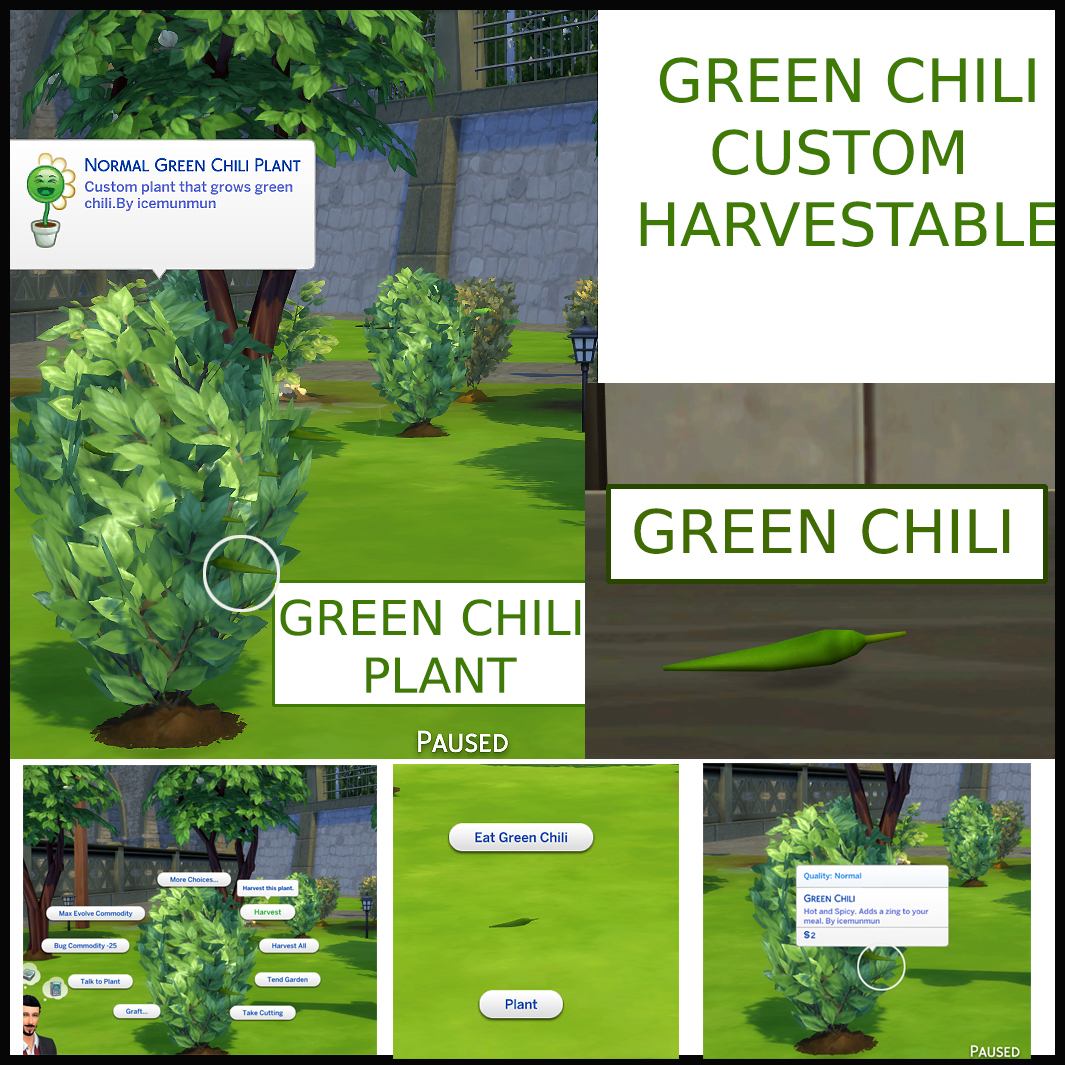 Download harvestable green chili the sims 4 mods curseforge