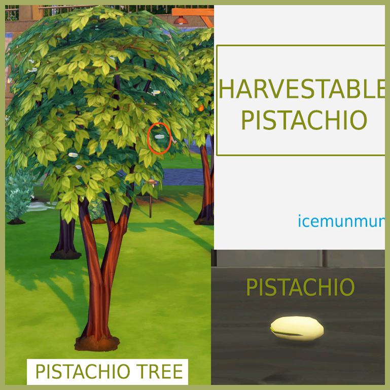HARVESTABLE PISTACHIO logo