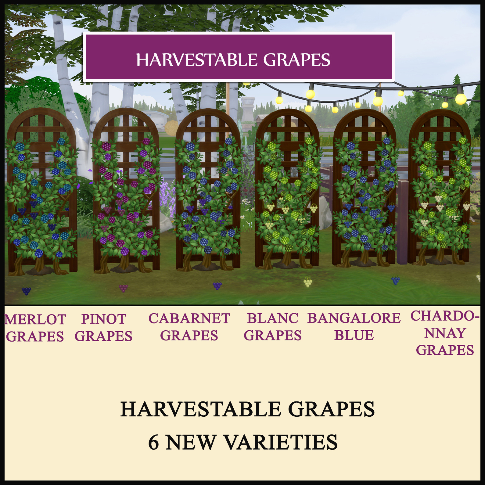 the-sims-4-harvestable-grapes-6-varieties-1-93-129-download-on