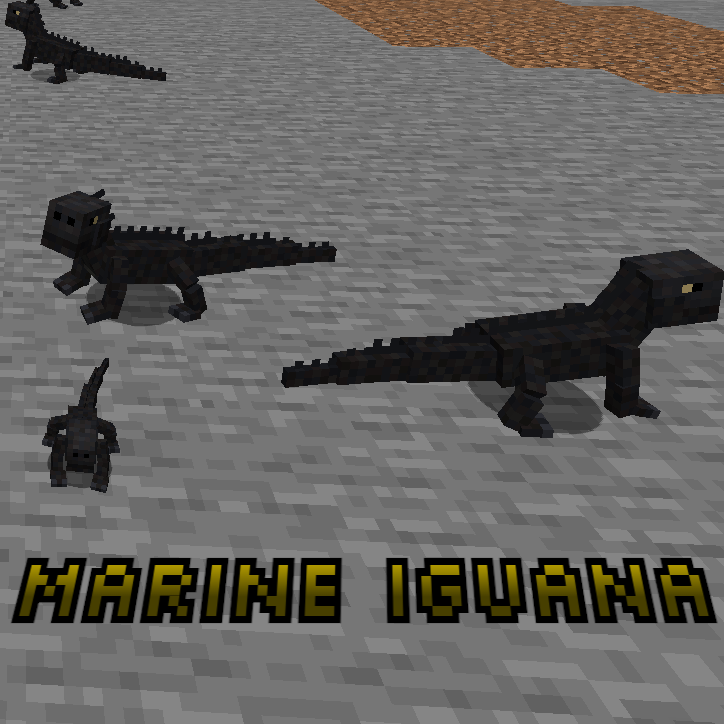 Marine Iguana project artwork