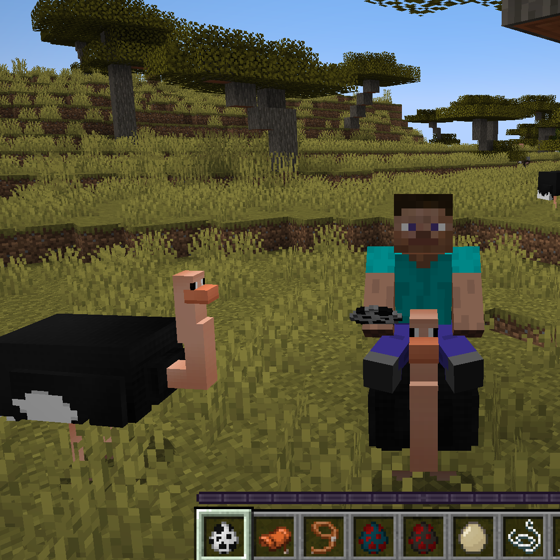 YDM's Ostrich - Minecraft Mods - CurseForge