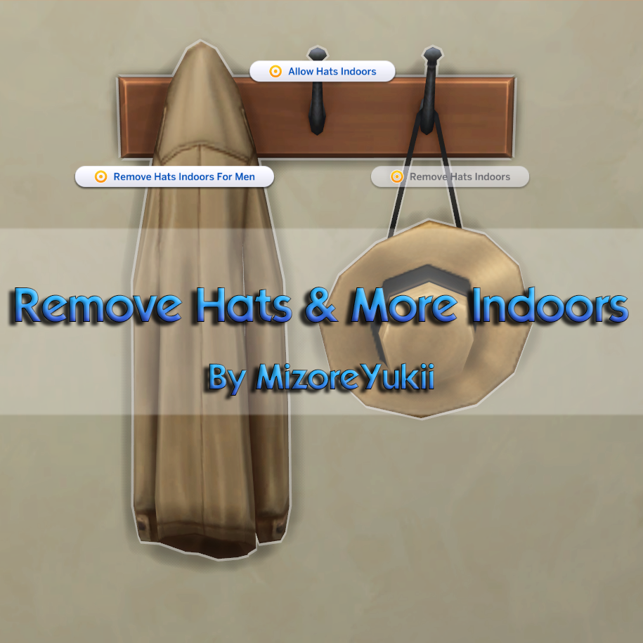 Remove Hats & More Indoors project image