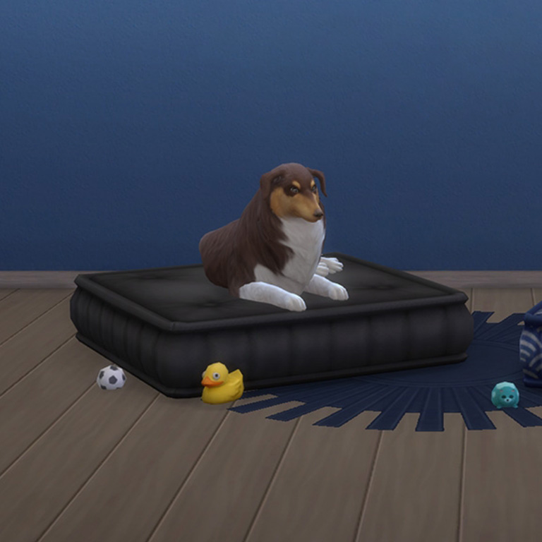 Pillow Fluff Pet Beds project avatar