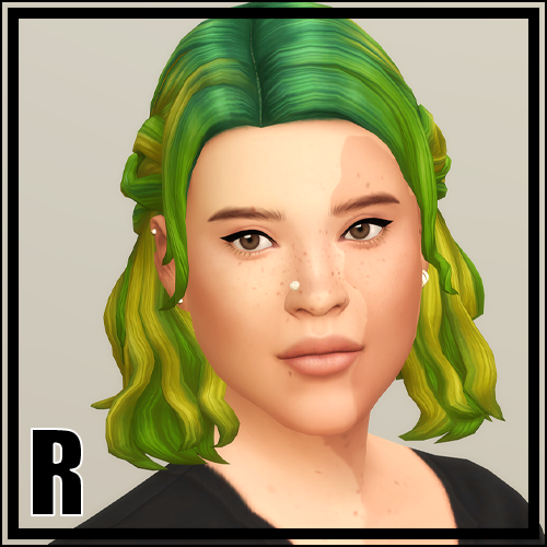 Half-up Braid Hair Edit V2 (Ombré) logo