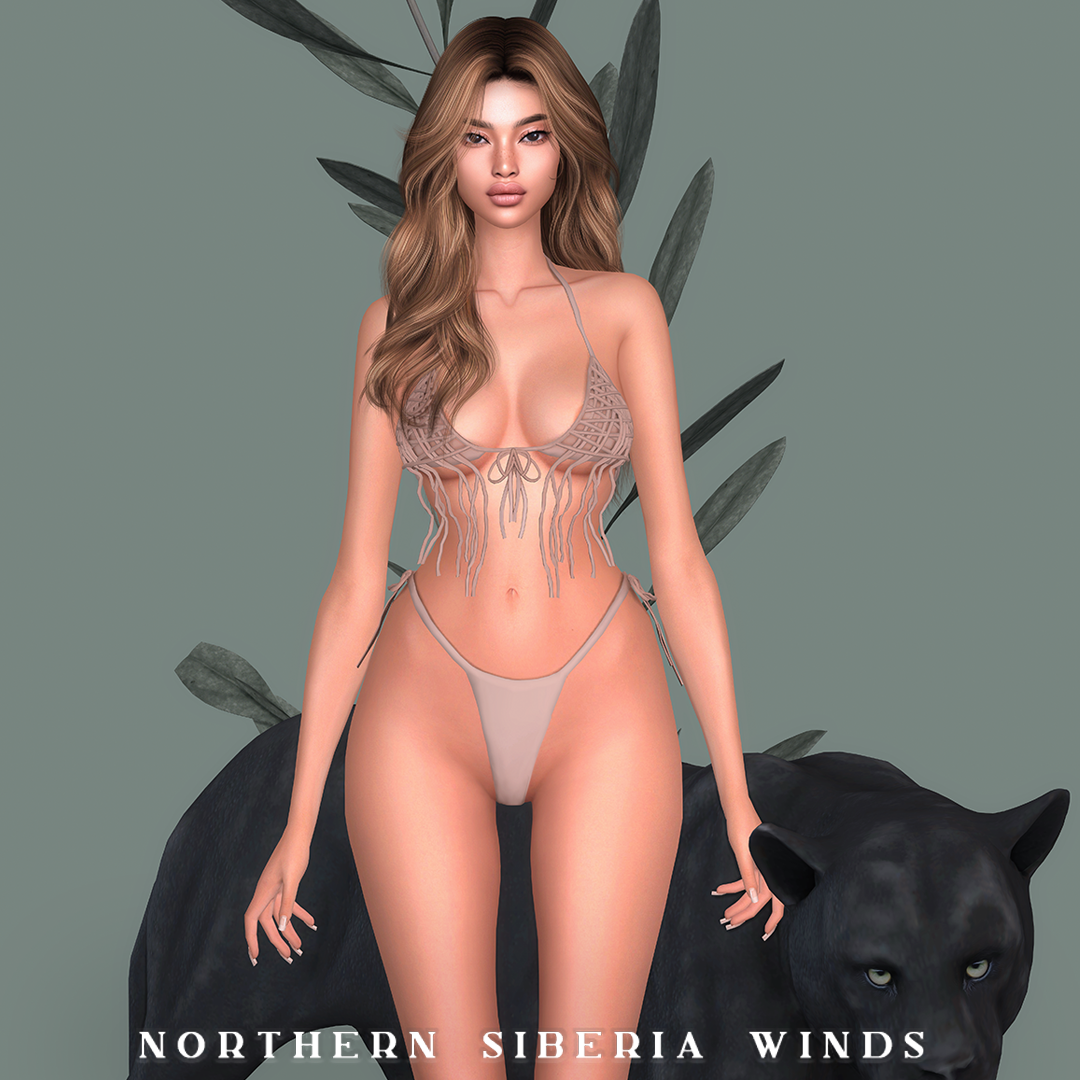 Wild Cat Skin N12 logo