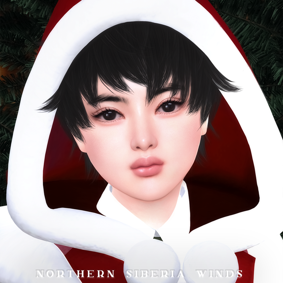 The Sims 4 Christmas Miracle 1.90.358 Download on