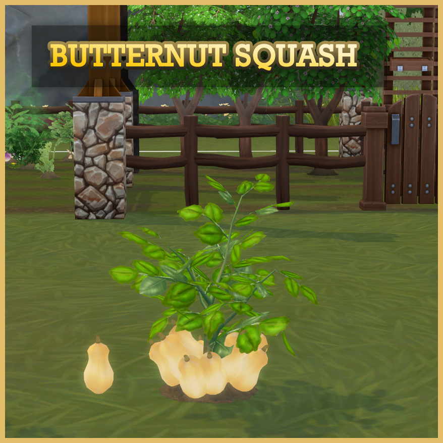 Harvestable Butternut Squash logo