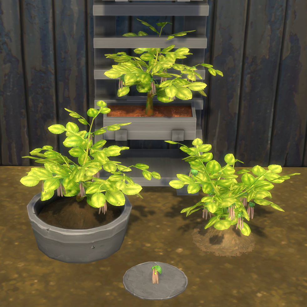 Adzuki Bean Harvestable & Plant logo