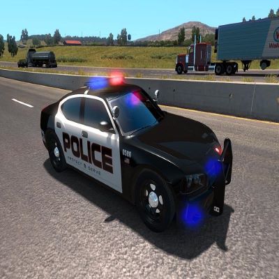 usa police traffic project avatar