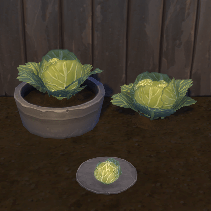 Cabbage Harvestable & Plant logo
