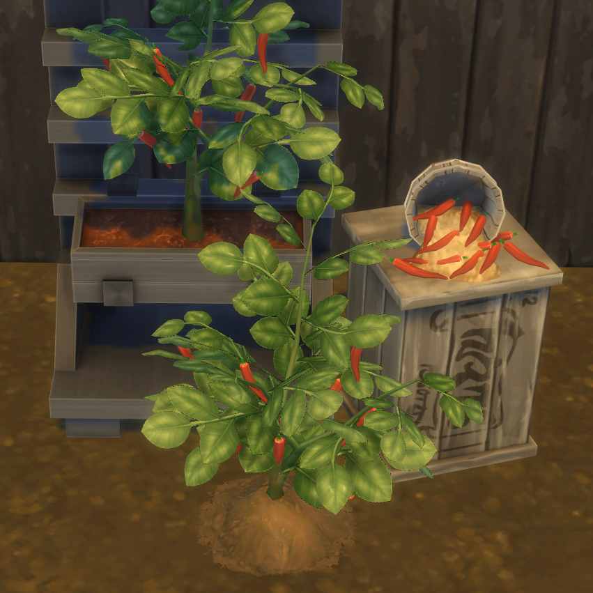 Cayenne Pepper Harvestable & Plant logo