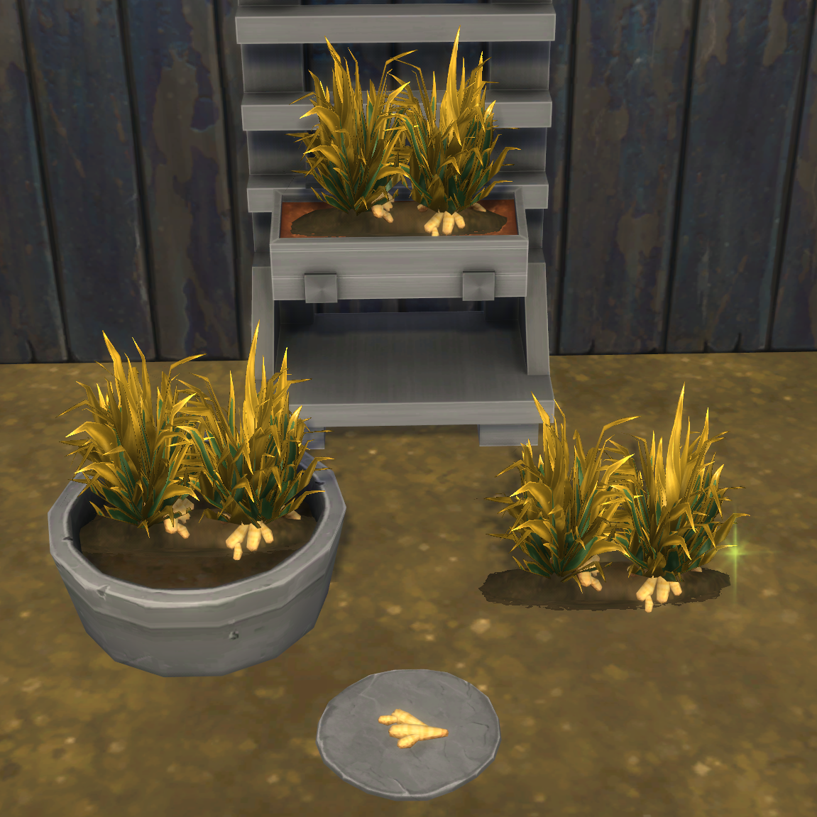 Ginger Harvestable & Plant logo