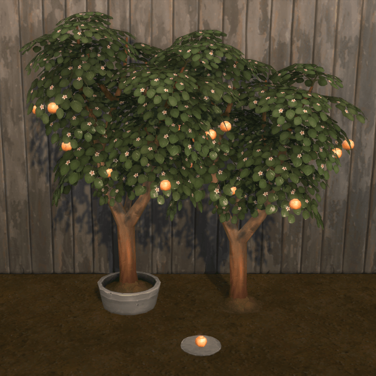 Grapefruit Harvestable & Plant logo