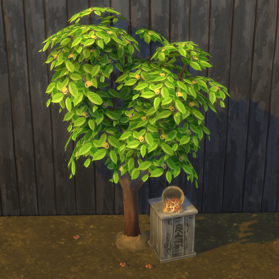 Nutmeg Harvestable & Plant logo