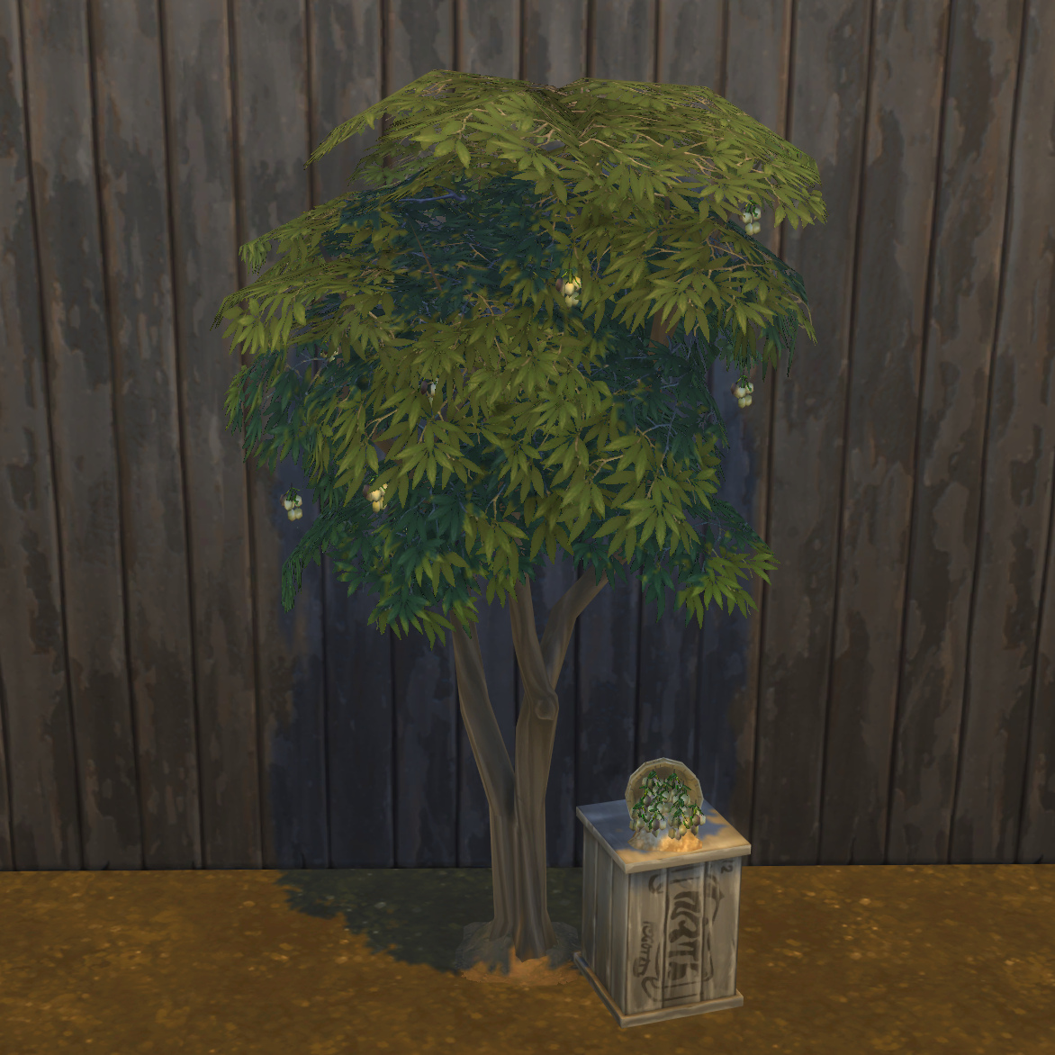 Olive Harvestable & Plant logo