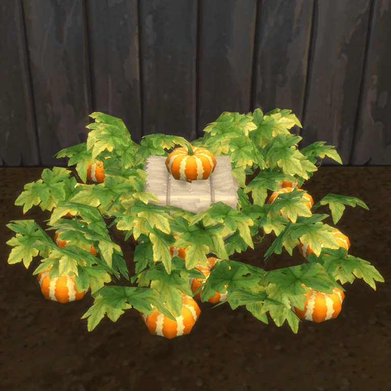 Orange Heirloom Pumpkin Harvestable & Plant logo