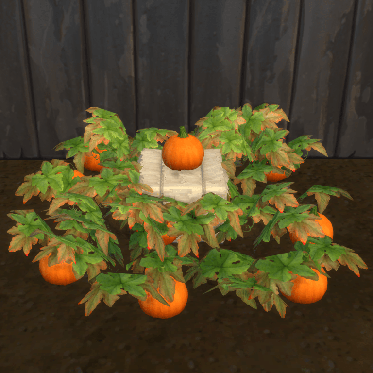 Orange Pumpkin Harvestable & Plant logo