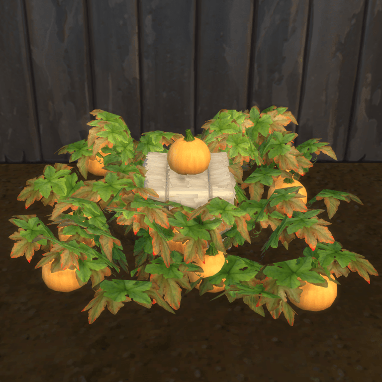 Pale Orange Pumpkin Harvestable & Plant logo