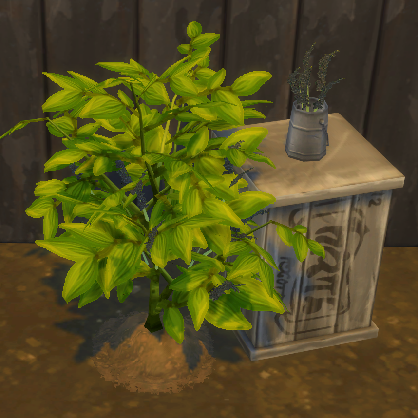 Peppercorn Harvestable & Plant logo