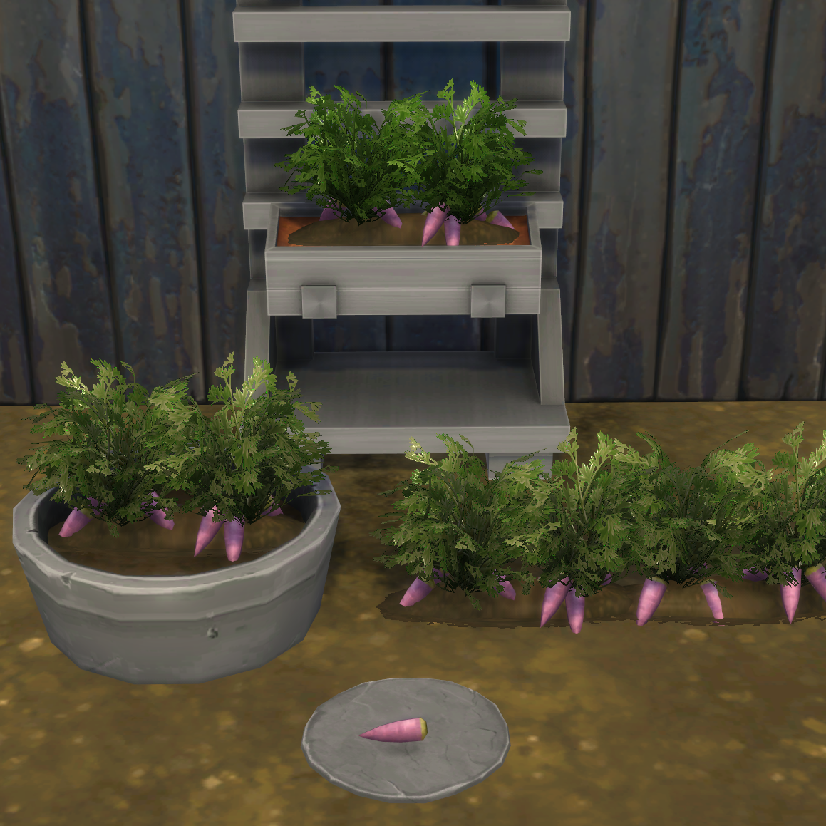 Purple Carrot Harvestable & Plant logo