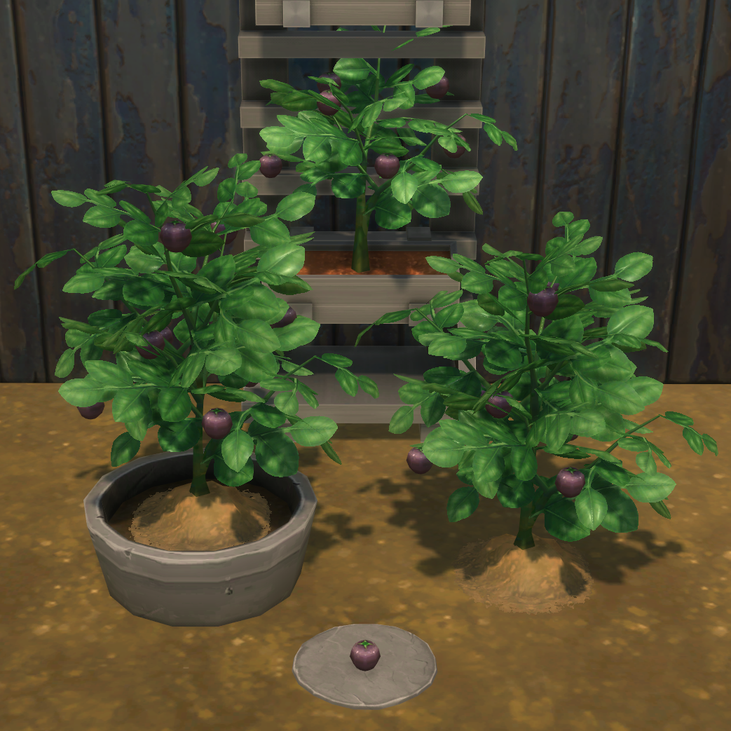 Purple Tomato Harvestable & Plant logo